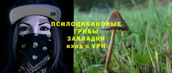 PSILOCYBIN Аркадак