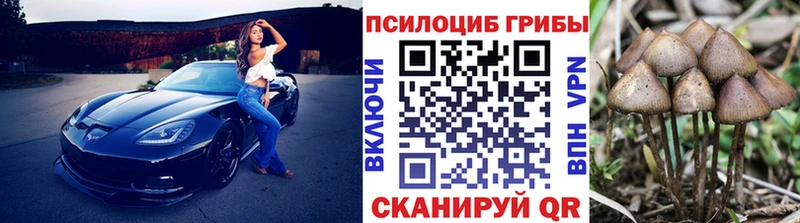 Галлюциногенные грибы GOLDEN TEACHER  Купить где  Луга 